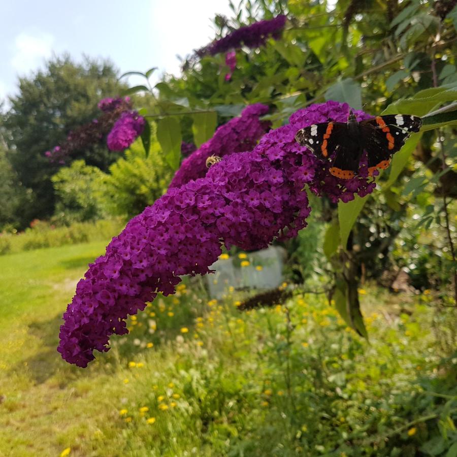 Bed and Breakfast Domaine De La Chesnaie Josselin Exterior foto