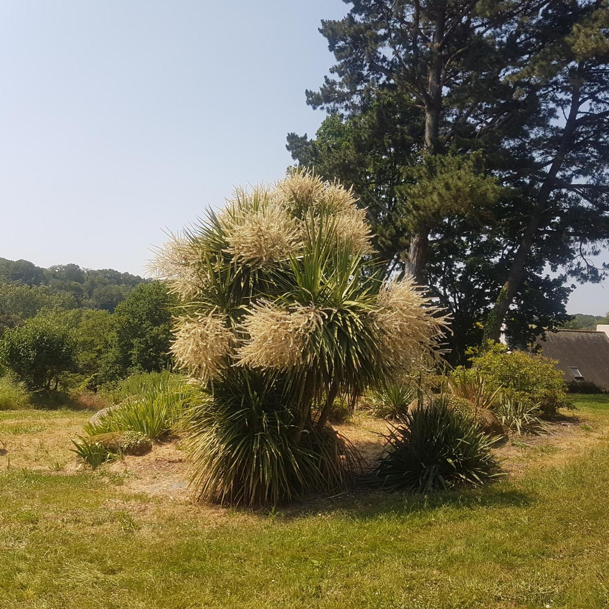 Bed and Breakfast Domaine De La Chesnaie Josselin Exterior foto