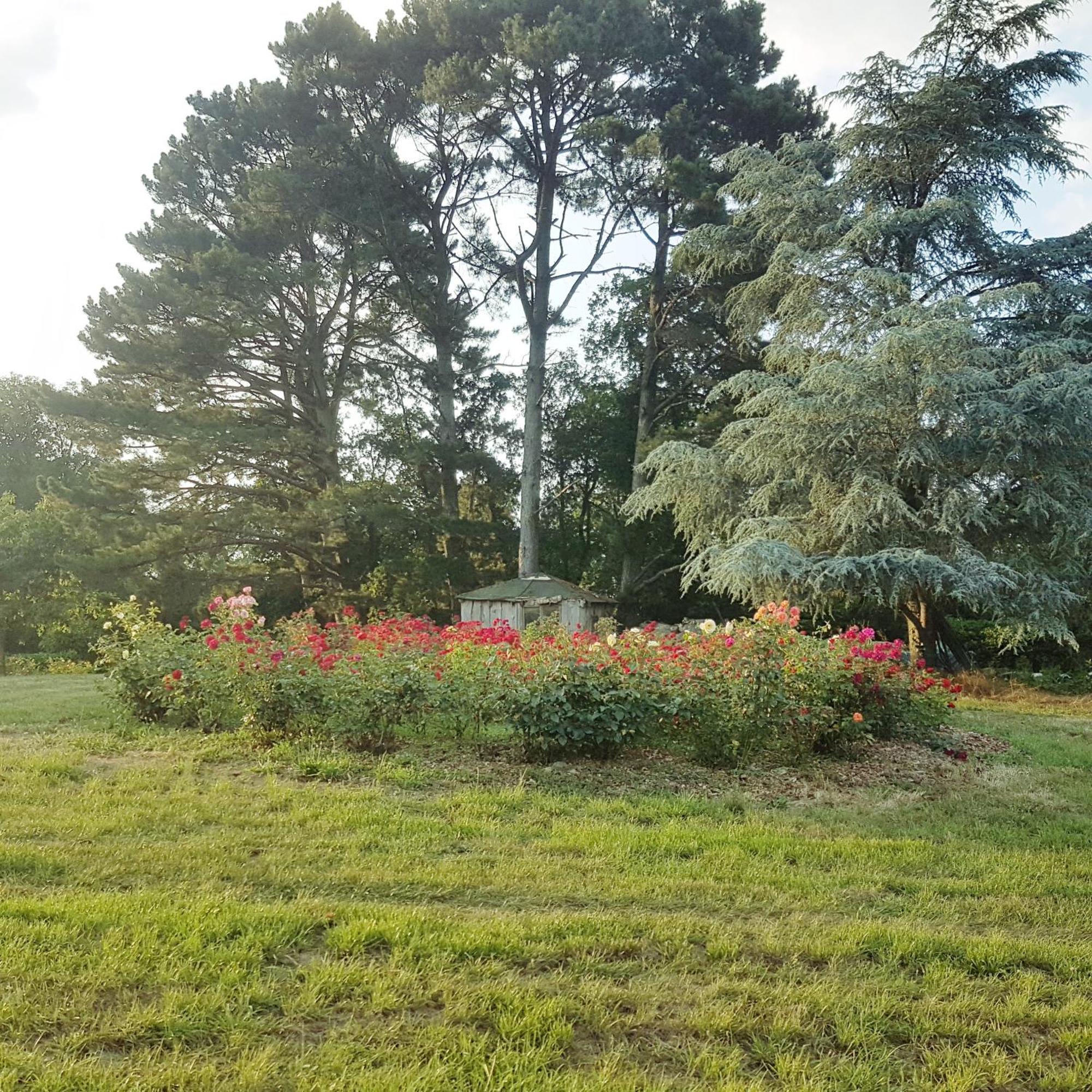 Bed and Breakfast Domaine De La Chesnaie Josselin Exterior foto