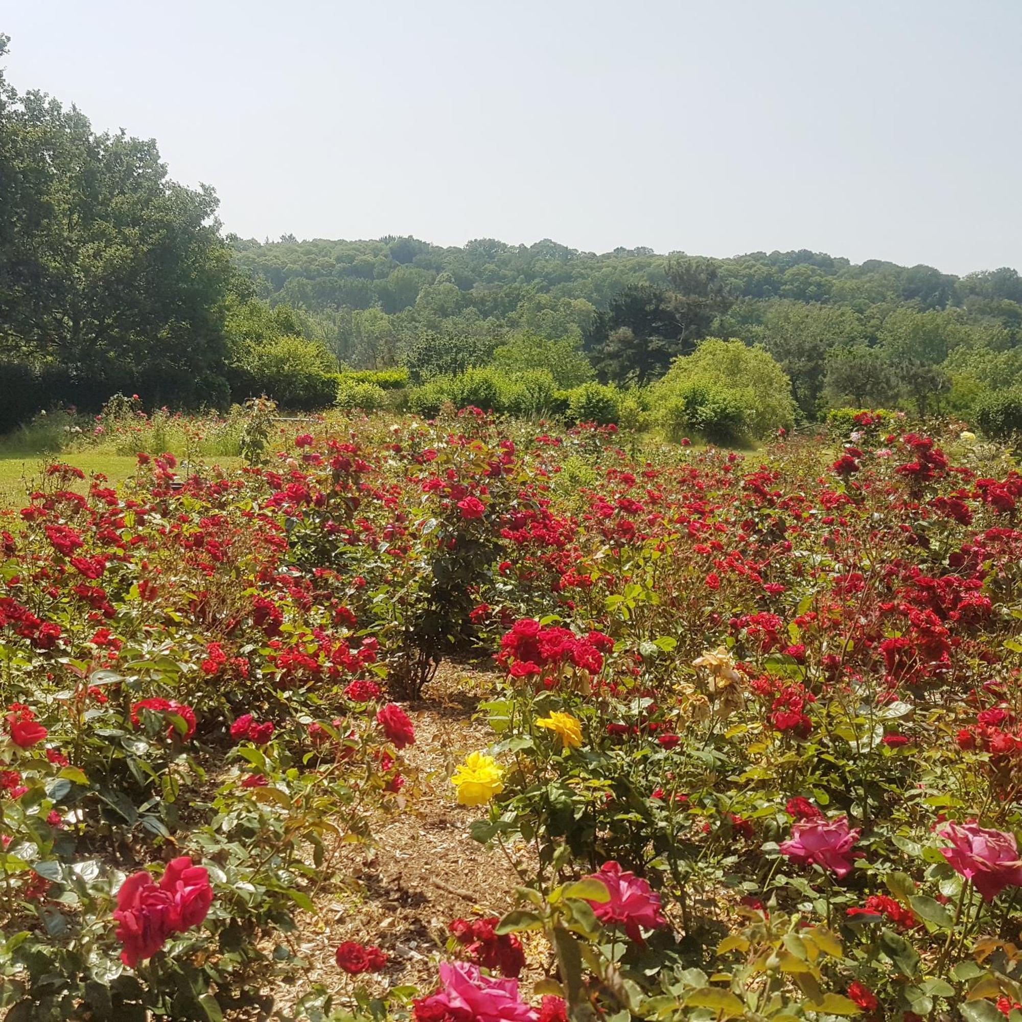 Bed and Breakfast Domaine De La Chesnaie Josselin Exterior foto